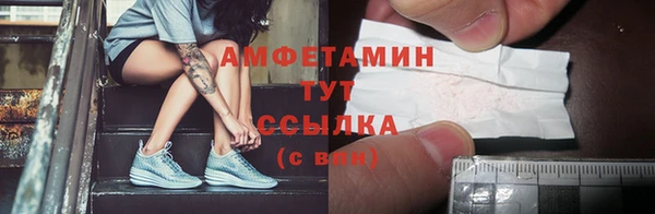 ПСИЛОЦИБИНОВЫЕ ГРИБЫ Горняк