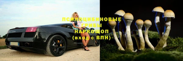 ПСИЛОЦИБИНОВЫЕ ГРИБЫ Горняк