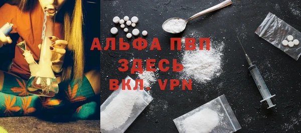 спиды Горно-Алтайск