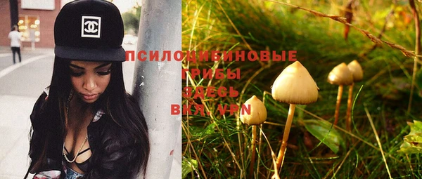 твердый Гусиноозёрск