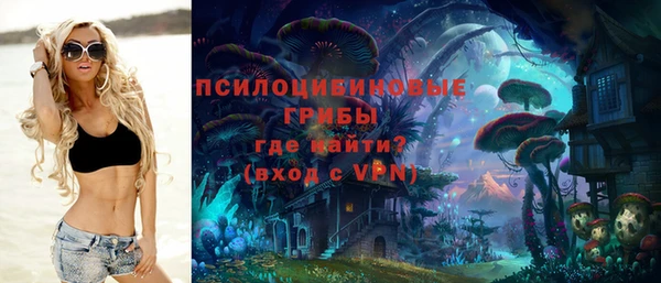 прущие крисы Горнозаводск