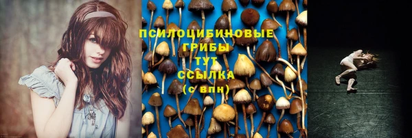 спиды Горно-Алтайск