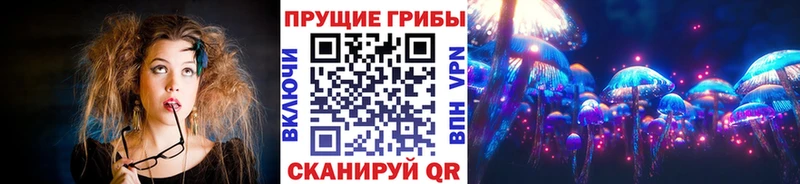 Псилоцибиновые грибы Cubensis  Заводоуковск 